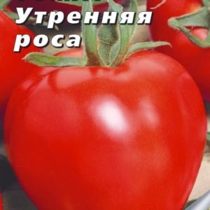 Томат Утренняя Роса (УД) 0,1 гр