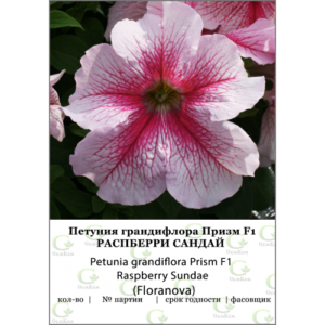 Петуния грандифлора Призм Расберри Сандай 100др (Fioranova)